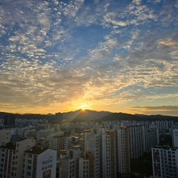 피드에 업로드 된 이미지