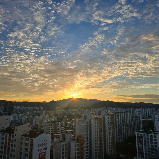 피드 이미지