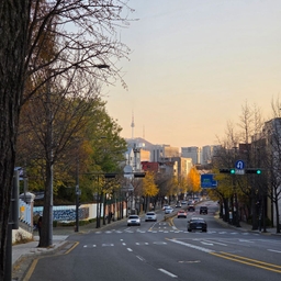 피드에 업로드 된 이미지