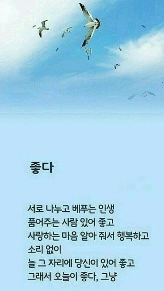 피드 이미지