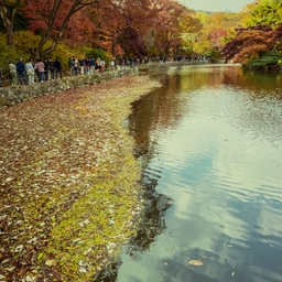 피드에 업로드 된 이미지