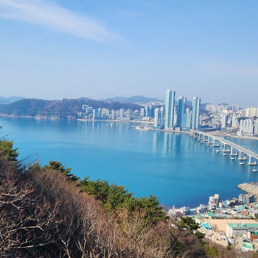 피드 이미지