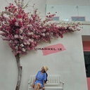 공지사항 작성자 프로필