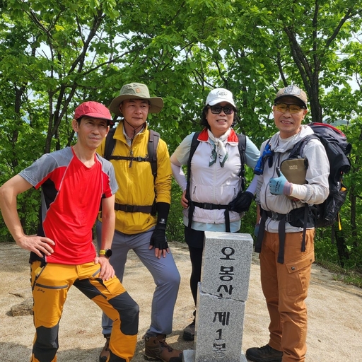 피드 이미지