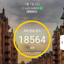 피드에 업로드 된 이미지