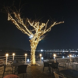 피드에 업로드 된 이미지