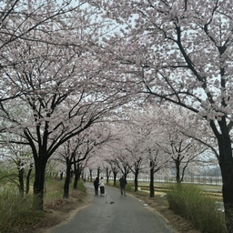 피드에 업로드 된 이미지