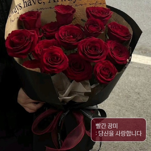 피드 이미지