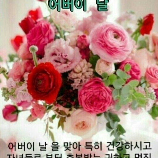 피드 이미지