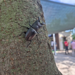 피드에 업로드 된 이미지