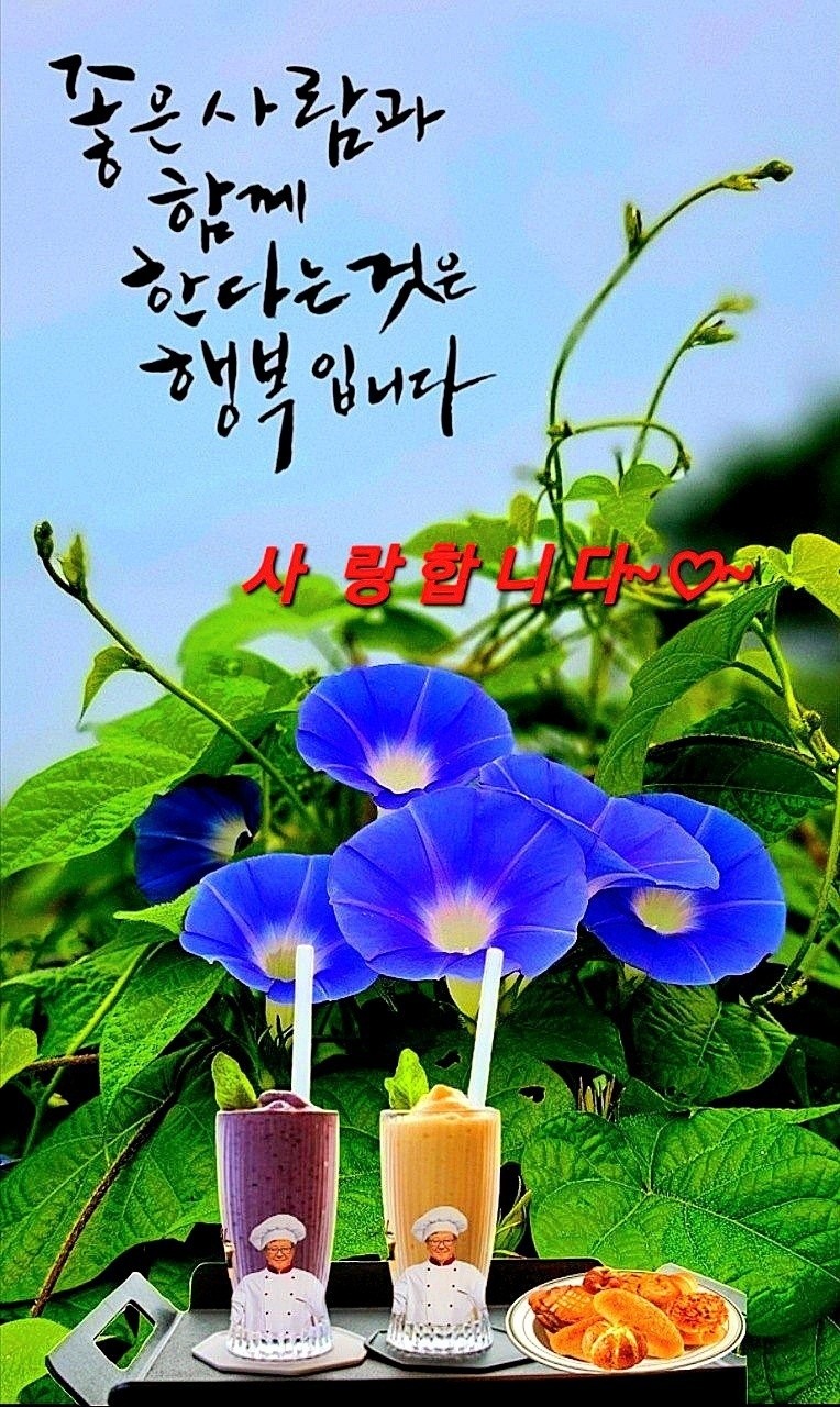 피드에 업로드 된 이미지