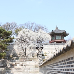 피드에 업로드 된 이미지
