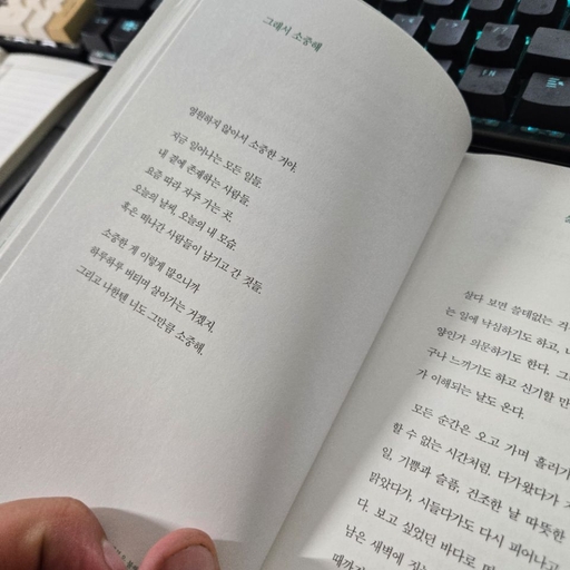 피드 이미지