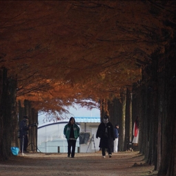 피드에 업로드 된 이미지