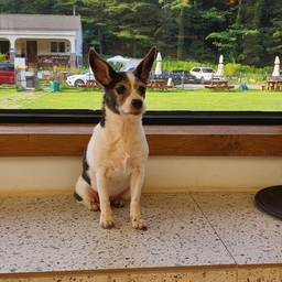 피드에 업로드 된 이미지