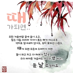 피드에 업로드 된 이미지