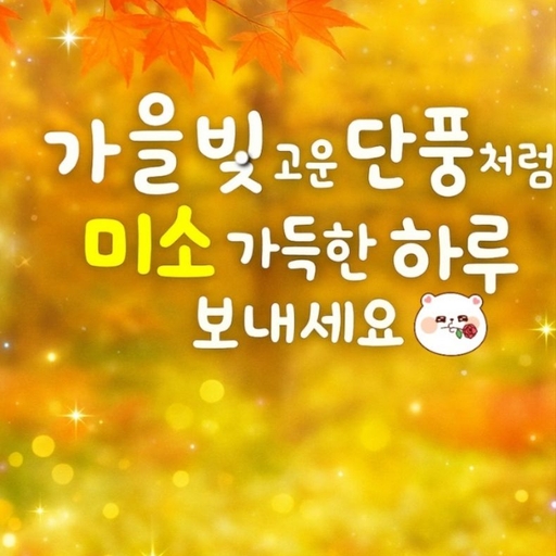 피드 이미지
