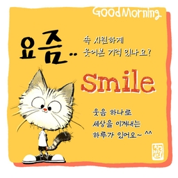 피드에 업로드 된 이미지