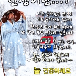 피드에 업로드 된 이미지