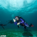 공지사항 작성자 프로필