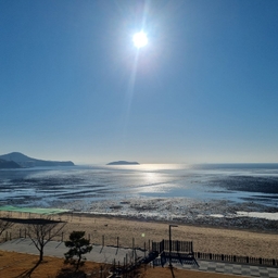 피드에 업로드 된 이미지