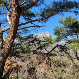 피드에 업로드 된 이미지