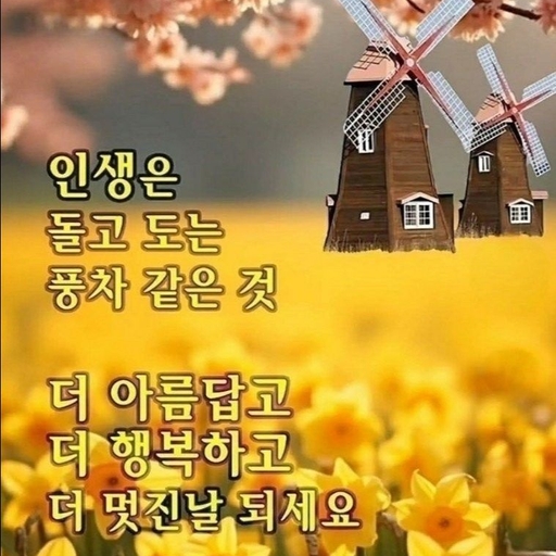 피드 이미지