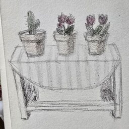 피드에 업로드 된 이미지