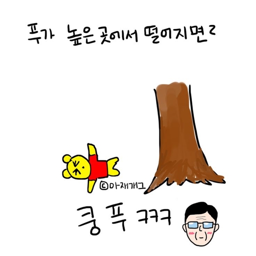 피드 이미지