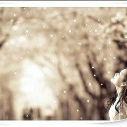 피드에 업로드 된 이미지