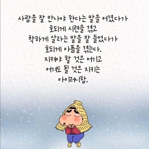 피드 이미지