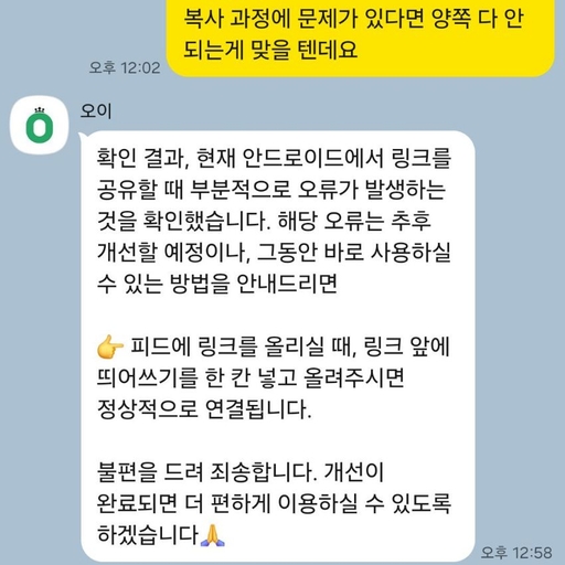 피드 이미지