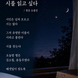 피드에 업로드 된 이미지