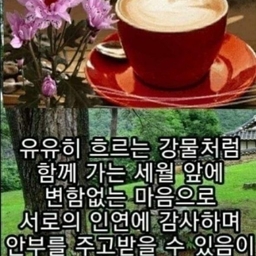 피드에 업로드 된 이미지