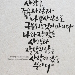 피드에 업로드 된 이미지