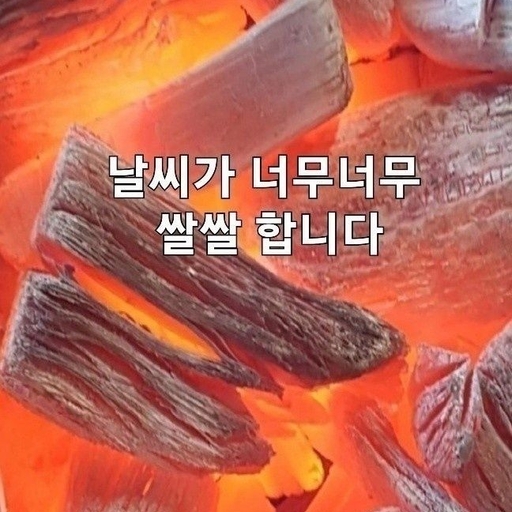 피드 이미지
