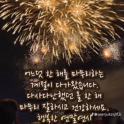 피드에 업로드 된 이미지