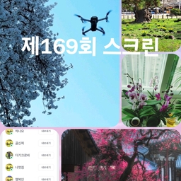 피드에 업로드 된 이미지