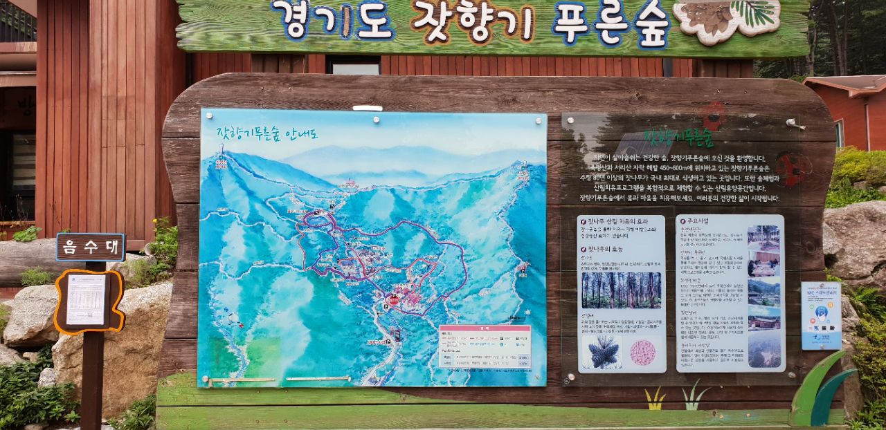 피드 이미지