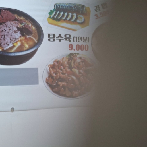 피드 이미지