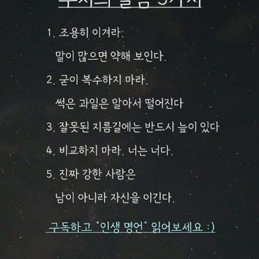 피드 이미지