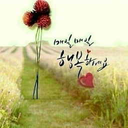 ํผ๋์ ์
๋ก๋ ๋ ์ด๋ฏธ์ง