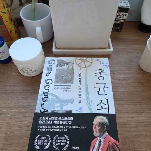 피드 이미지