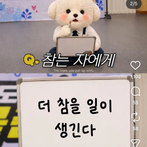 피드 이미지