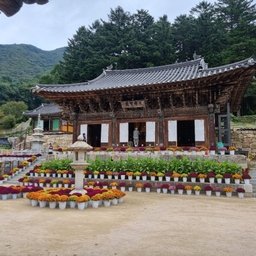 피드에 업로드 된 이미지