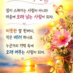 피드에 업로드 된 이미지