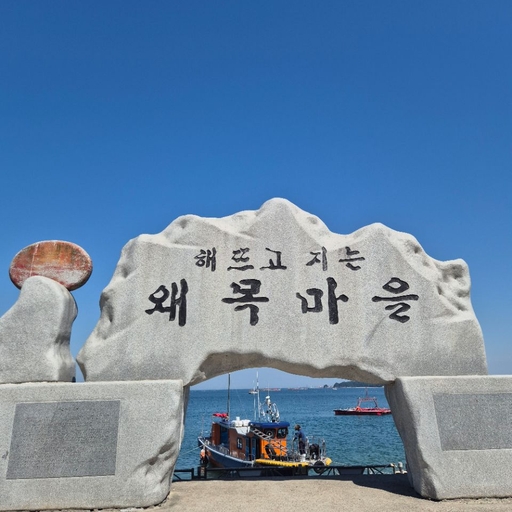 피드 이미지