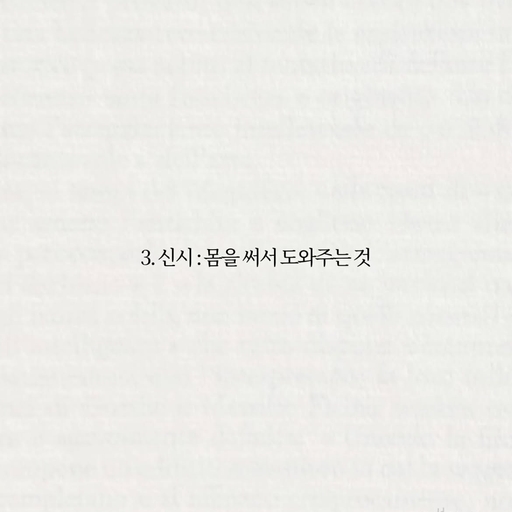 피드 이미지