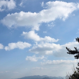 피드에 업로드 된 이미지