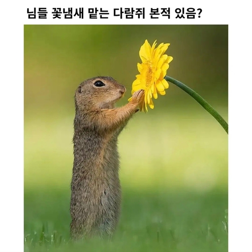 피드 이미지